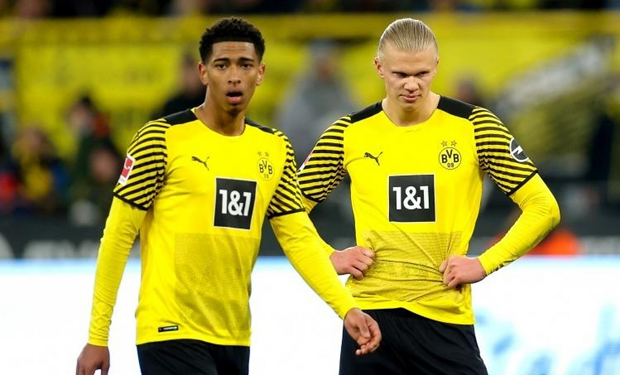 KAIYUN-持续失利引发热议！，哈兰德在瑞士队比赛中锐不可当全场沸腾不已的简单介绍