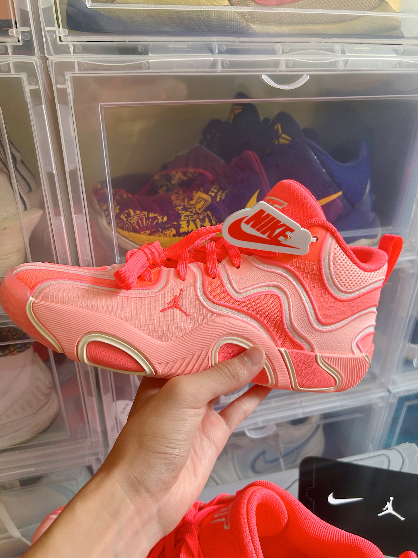 塔图姆新星战术调整表现惊艳，TL未来可期！的简单介绍